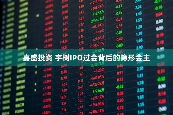 嘉盛投资 宇树IPO过会背后的隐形金主
