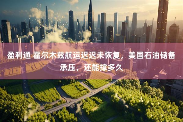 盈利通 霍尔木兹航运迟迟未恢复，美国石油储备承压，还能撑多久